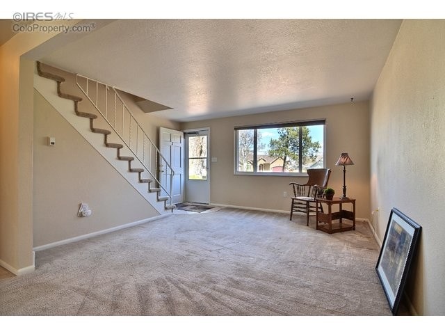 219 Chestnut St in Windsor, CO - Building Photo - Building Photo