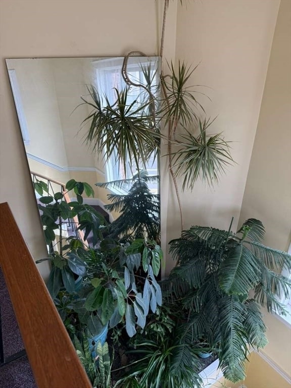 property at 16-18-18 Walk Hill St