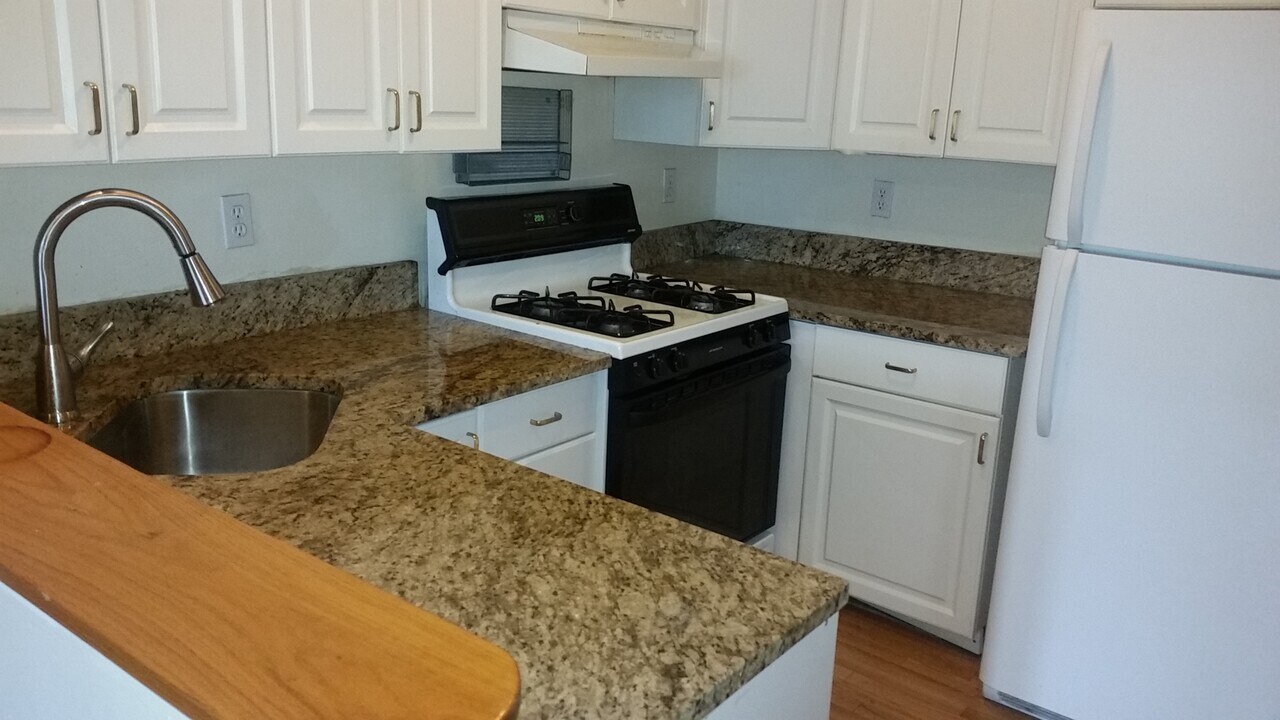 318 Saint Paul St, Unit 5 in Brookline, MA - Building Photo