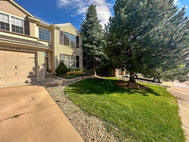 7856 Stonedale Dr in Castle Pines, CO - Building Photo - Building Photo