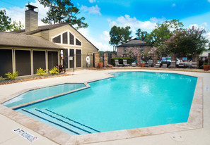 Serena Oasis in Houston, TX - Building Photo