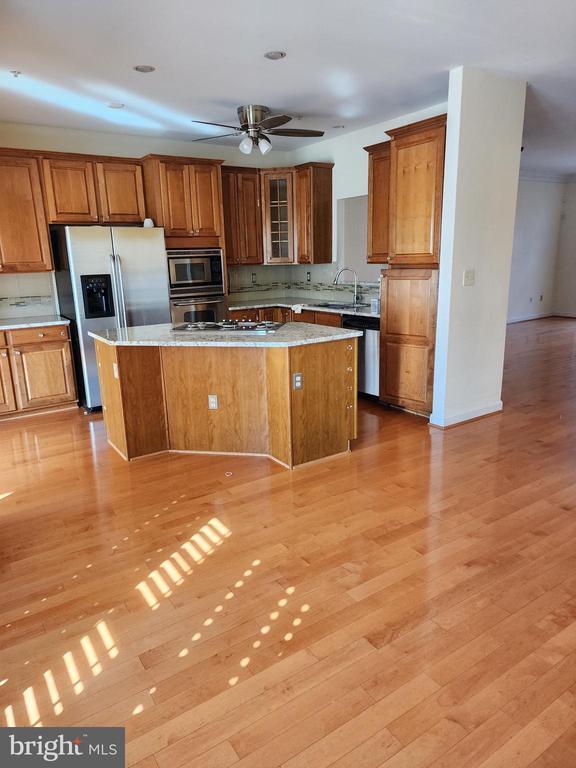10 Fire Princess Ct in Rockville, MD - Building Photo - Building Photo