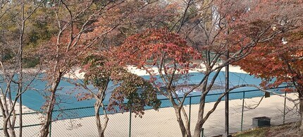 2311 Pimmit Dr in Falls Church, VA - Building Photo - Building Photo