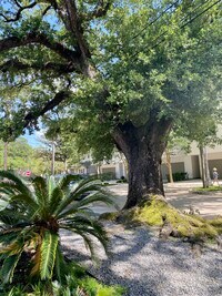 812 Branard St, Unit #2 photo'