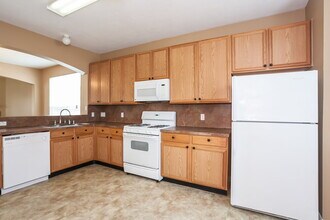 2519 Teal Run Pl Dr in Fresno, TX - Building Photo - Building Photo