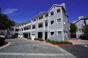 903 Sunrose Terrace in Sunnyvale, CA - Building Photo