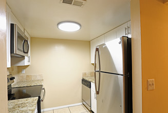 Urban Place Apartments in Tampa, FL - Building Photo - Interior Photo