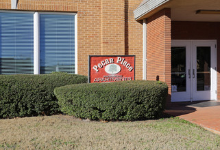 Pecan Place Apartments in Denton, TX - Building Photo - Building Photo