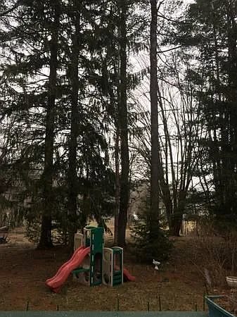 31 Perimeter Rd in Whitesboro, NY - Building Photo - Building Photo