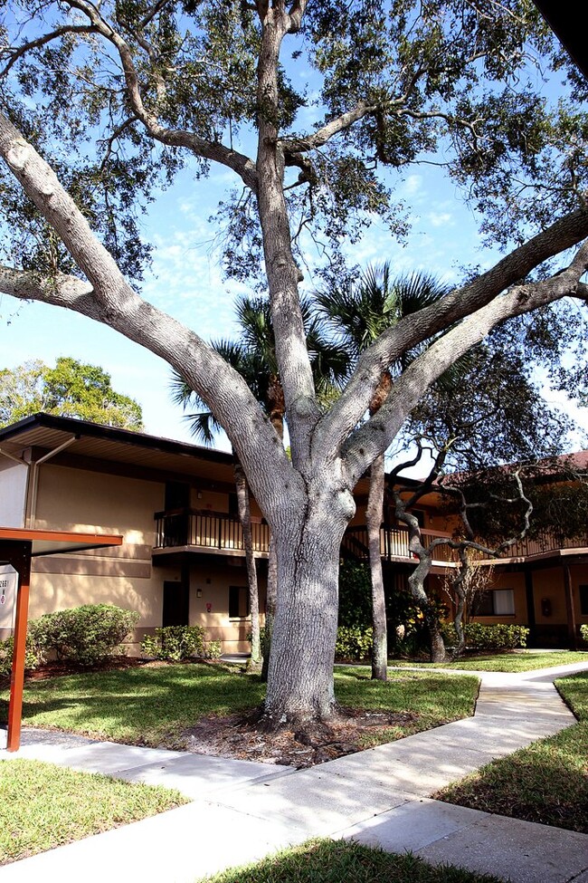 property at 2661 Sabal Springs Cir