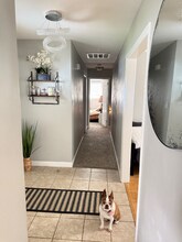 3613 Algonquin Ct in Virginia Beach, VA - Building Photo - Building Photo