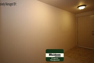 1590 Little Bear Creek Point in Colorado Springs, CO - Building Photo - Building Photo