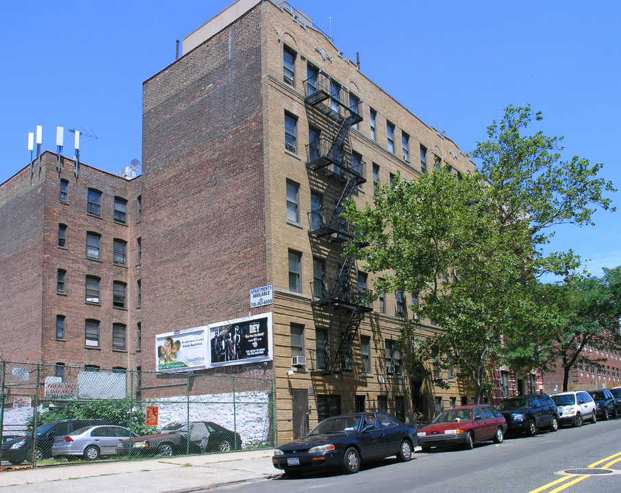 2465 Crotona Ave in Bronx, NY - Foto de edificio