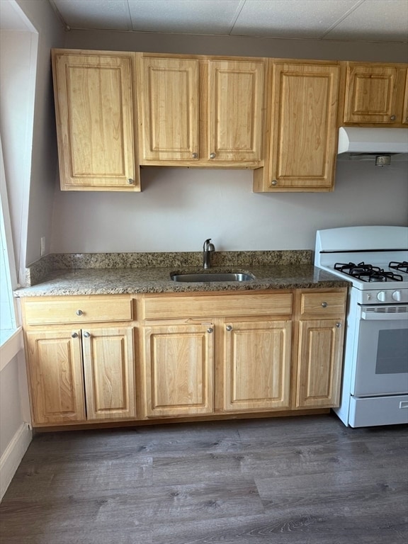 52 Blue Hill Ave, Unit 2