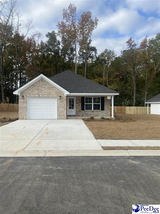 3268 Spiral Ln in Effingham, SC - Building Photo