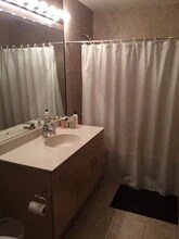 1720 S Michigan Ave, Unit 1615 in Chicago, IL - Building Photo - Building Photo