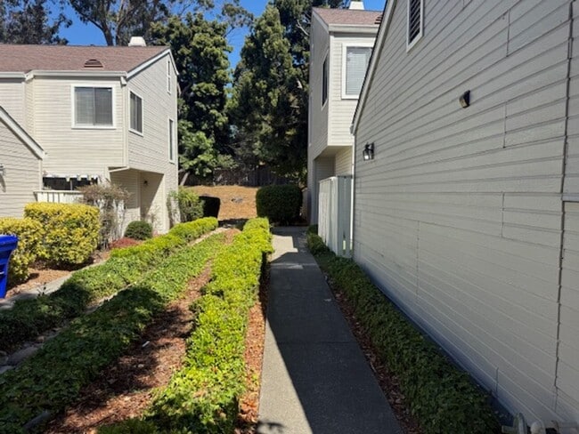 2421 Branchwood Ct in Richmond, CA - Foto de edificio - Building Photo