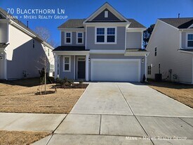 70 Blackthorn Ln in Angier, NC - Building Photo