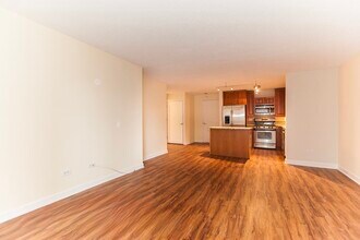 545 N Dearborn St in Chicago, IL - Building Photo - Building Photo