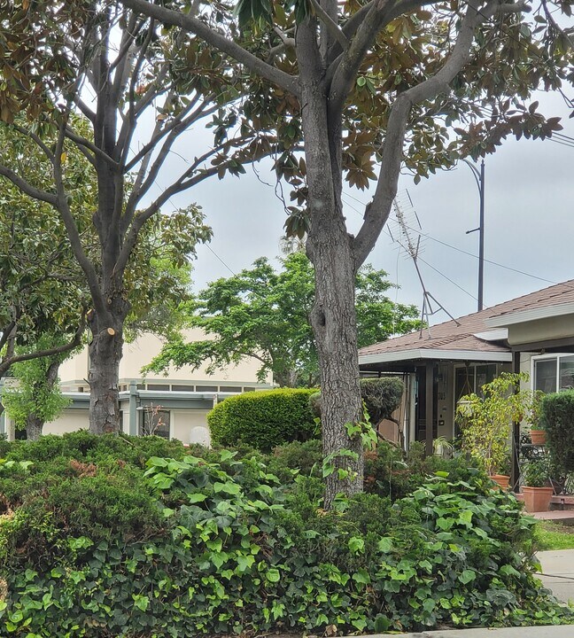 707 N 3rd St, Unit 707 in San Jose, CA - Building Photo