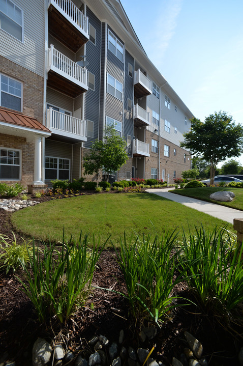 900 Acqua Luxury Senior Apartments in Virginia Beach, VA - Building Photo