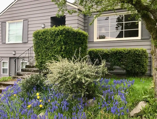 property at 6306 4th Ave NE