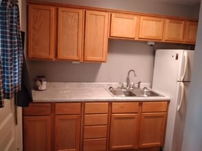 255 Wilcox St, Unit 306 in Joliet, IL - Building Photo - Building Photo
