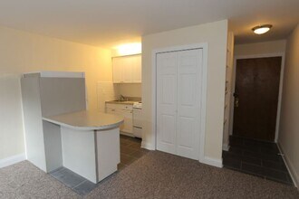 2010 N Orleans St, Unit M06R in Chicago, IL - Building Photo - Building Photo