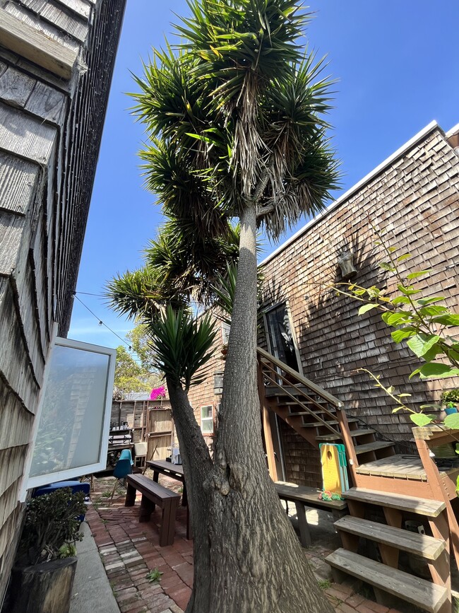 1482 Innes Avenue, Unit Upper Flat w Views in San Francisco, CA - Foto de edificio - Building Photo