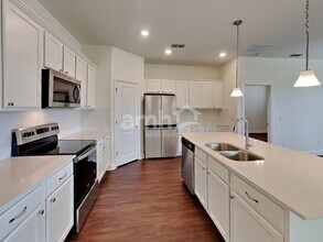 20300 Calla Lily Dr in Land O Lakes, FL - Building Photo - Building Photo