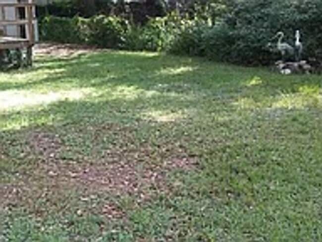 20909 SE 157th St in Umatilla, FL - Building Photo - Building Photo