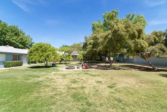 Olive Apartments in Mesa, AZ - Building Photo - Building Photo