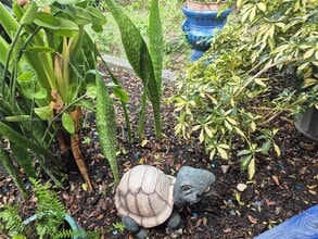 4920 SW 28th Terrace in Fort Lauderdale, FL - Building Photo - Building Photo