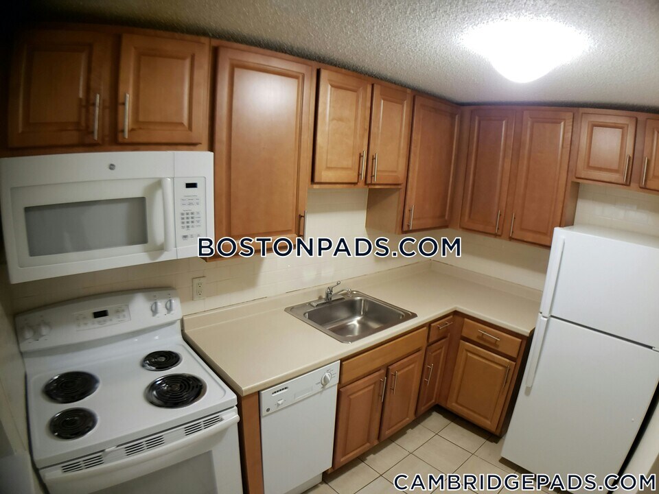 66 Homer Ave, Unit 309 in Cambridge, MA - Building Photo
