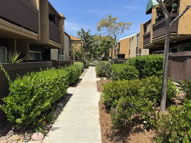 3454 Castle Glen Dr in San Diego, CA - Foto de edificio - Building Photo