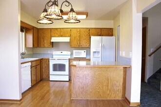 135 Apple Way in Windsor, CO - Building Photo - Building Photo