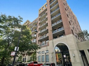 811 W 15th Pl in Chicago, IL - Building Photo - Building Photo