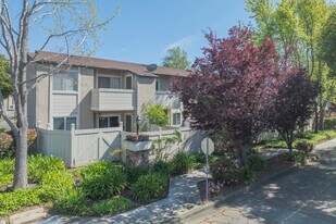 34350 Enea Cmn in Fremont, CA - Building Photo