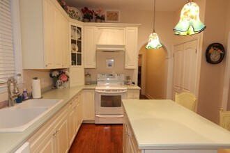 1119 W George St, Unit 1 in Chicago, IL - Building Photo - Building Photo