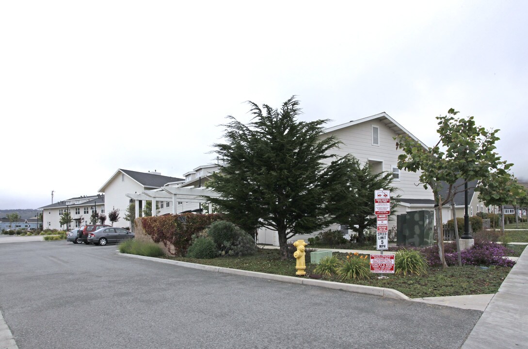 Lesley Gardens in Half Moon Bay, CA - Building Photo