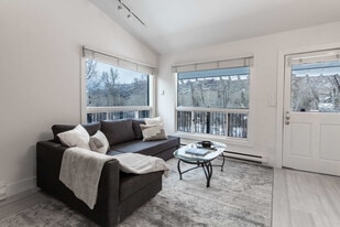 900 E Hopkins Ave in Aspen, CO - Building Photo