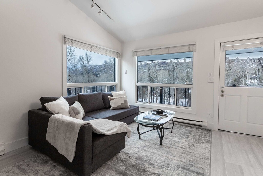 900 E Hopkins Ave in Aspen, CO - Building Photo