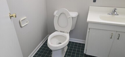 910 E Old Willow Rd in Prospect Heights, IL - Building Photo - Building Photo