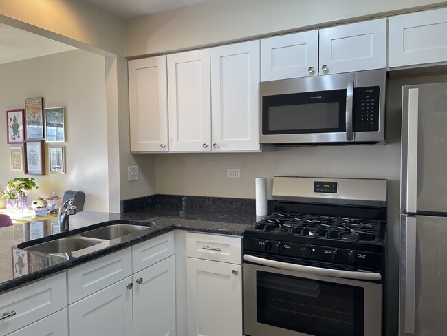 1455 Shermer Rd in Northbrook, IL - Building Photo - Building Photo