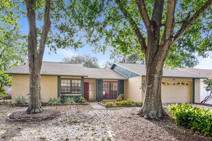 3819 Cloverhill Ct in Brandon, FL - Building Photo