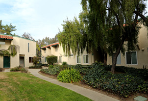 975 Murrieta Blvd in Livermore, CA - Foto de edificio - Building Photo