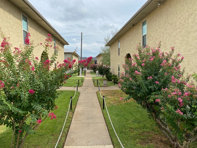 Pecan Grove Apartments in Denton, TX - Building Photo - Building Photo