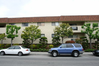 798 Walnut St in San Carlos, CA - Building Photo - Building Photo