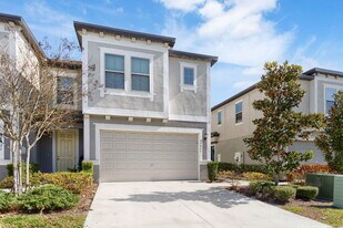 31975 Blue Passing Loop in Wesley Chapel, FL - Building Photo