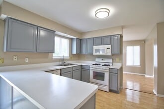 22146 W Plymouth Cir in Plainfield, IL - Building Photo - Building Photo
